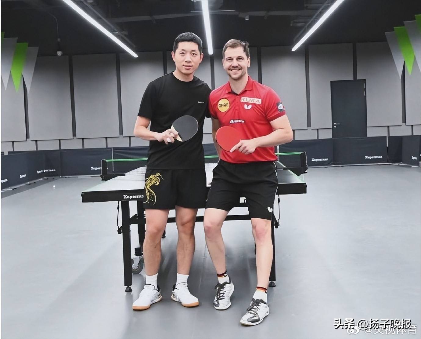 日本乒乓球队绝地反击奥地利乒乓球队，波尔统治全场